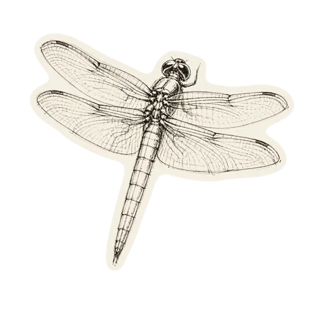 Technical ink study of a dragonfly